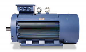 Variable de frecuencia de típica variable imán permanente motor sincrónico